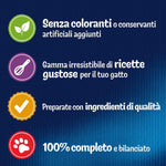 Purina Felix Le Ghiottonerie Cibo Umido per Gatti Junior con Manzo e Pollo, 24 buste da 85g