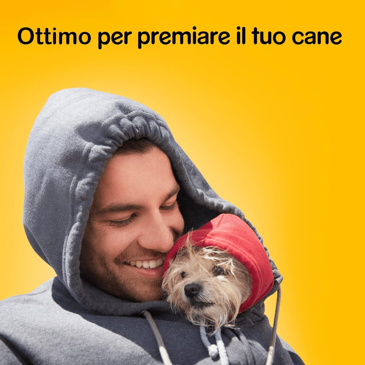 Pedigree Biscrok Original - 500 gr