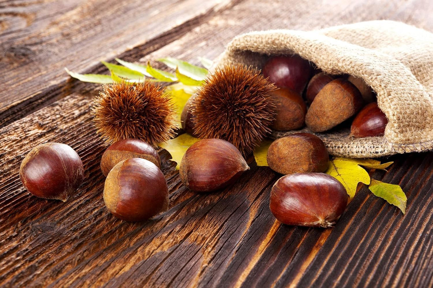 Castagne Marroni Grandi di Stagione Fresche Pima Scelta 1 Kg