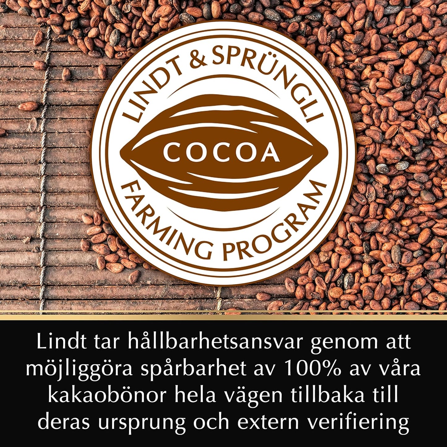 Tavoletta di Cioccolato Lindt Excellence Cacao 85% gr.100