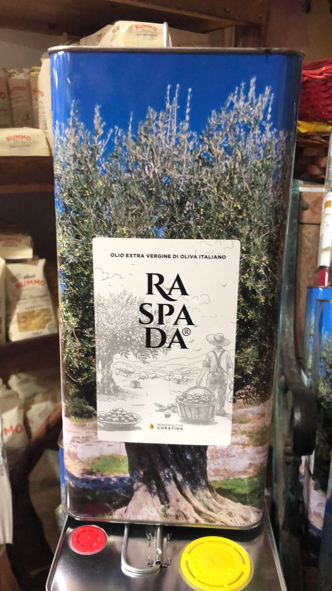 OLIO PICCARRETA OLIO EXTRAVERGINE DI OLIVA LATTINA DA 5 LT NOSTRANO DI PUGLIA