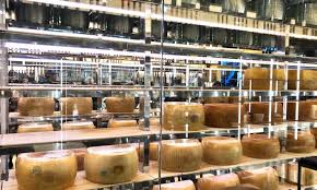 Parmigiano Reggiano Dop 10 Anni 500gr | Stravecchio | Azienda Agricola Bonat | Gourmet Foods | Formaggio Tipico | Idee Regalo