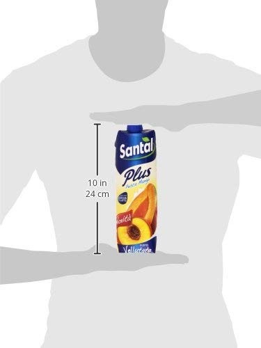 Santal - Plus, Bevanda Analcolica, Pesca e Mango - 12 pezzi da 1 l [12 l]