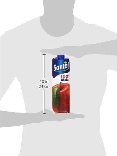 Santal - Succo, 100% Mela - 12 pezzi da 1 l [12 l]