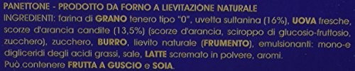 Motta Panettone Classico Gr.1000