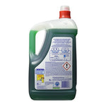 Fairy Professional 870067 Detersivo Liquido Verde, 5 L