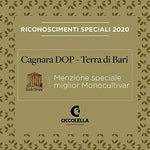 Ciccolella - CAGNARA D.O.P. Terra di Bari - Olio Extra Vergine di Oliva di alta qualità - Monocultivar CORATINA - Puglia - 100%