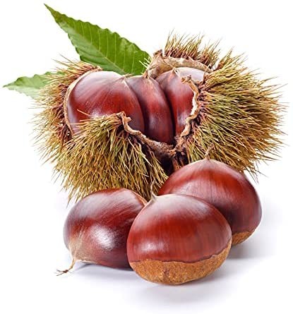 CASTAGNE MARRONI DI STAGIONE 1 Kg PRIMA SCELTA