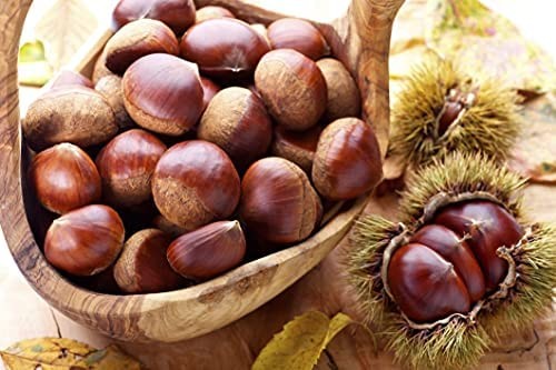 CASTAGNE MARRONI DI STAGIONE 1 Kg PRIMA SCELTA