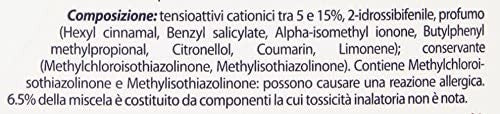 Amuchina Additivo Igienizzante con Ammorbidente, Adatto a Bianchi e Colorati, 1000ml