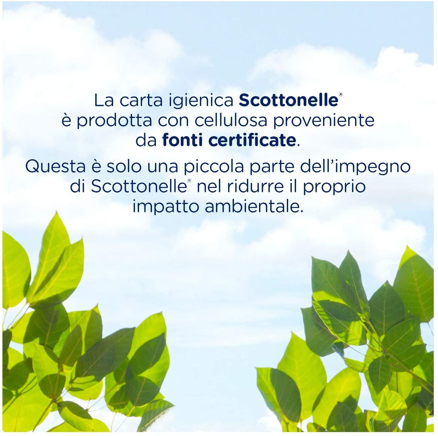 Scottonelle Carta Igienica Soffice e Trapuntata, Confezione da 4 Rotoli –  Raspada