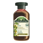 ANTICA ERBORISTERIA SHAMPOO KARITE COCCO OLIVA 250