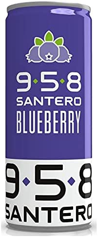 SANTERO 958 BLUEBERRY GUSTO MIRTILLO IN LATTINA 250 ML