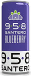 SANTERO 958 BLUEBERRY GUSTO MIRTILLO IN LATTINA 250 ML