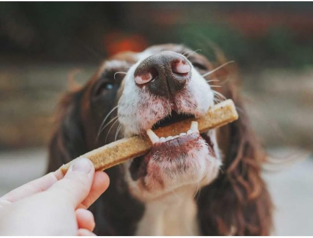 Giuntini Crancy Dog Fresh Sticks Manzo 30 x 10g