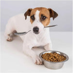 Giuntini Crancy FreshDog Mini per Cani di Piccola Taglia Mangime Completo