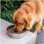 Giuntini Crancy DogCroc 4kg x 4 Mangime Completo per Cani Adulti