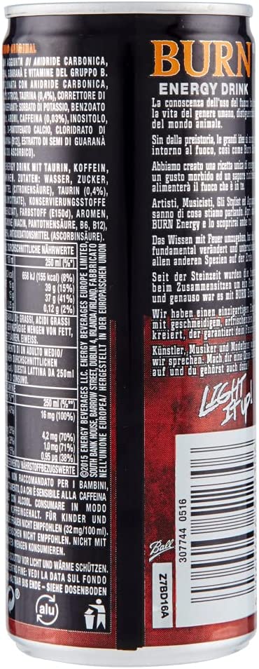 Zeus Party - Burn Energy Drink Original Bevanda Energetica Lattine da 250ml (6)