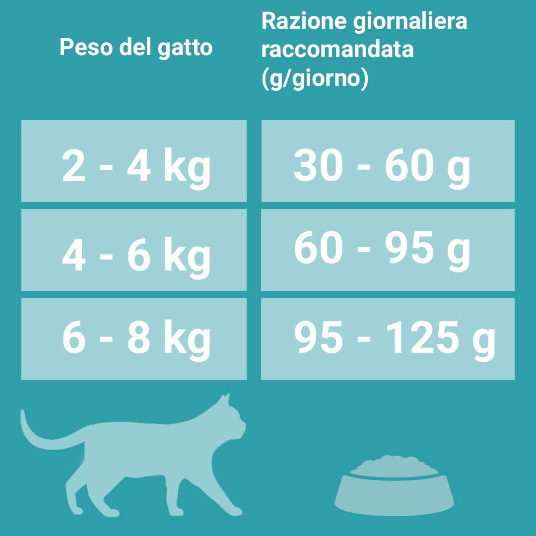 Purina One Bifensis Crocchette per Gatto Adulto con Salmone e Cereali integrali, 8 Confezioni da 800 g