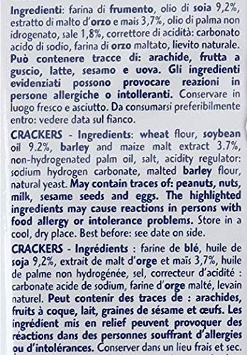 Gran Pavesi Cracker Salati I Classici, Senza Olio di Palma- 18 Pacchetti (560 gr)