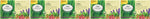 L'Angelica, Tisana Linea Silhouette, Tisana Funzionale con Tè Verde e Caffè Verde per Aiutarti a Ritrovare il Peso Forma, Azione Drenante, Vegan, 10 Confezioni da 20 Filtri