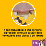 Pedigree Dentastix Snack per la Igiene Orale (Cane Piccolo 5-10 kg) 110 g 7 Pezzi - 10 Confezioni da 7 Pezzi (70 Pezzi totali)