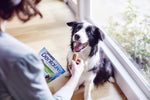 Purina DentaLife - Dolcetti per cani per adulti, taglia S/M, cura standard, 25 Treats, Small/Medium