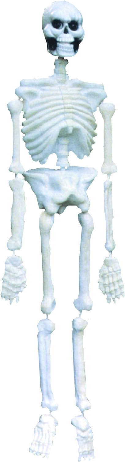 Ciao 30202 - Scheletro in PVC, 160 cm