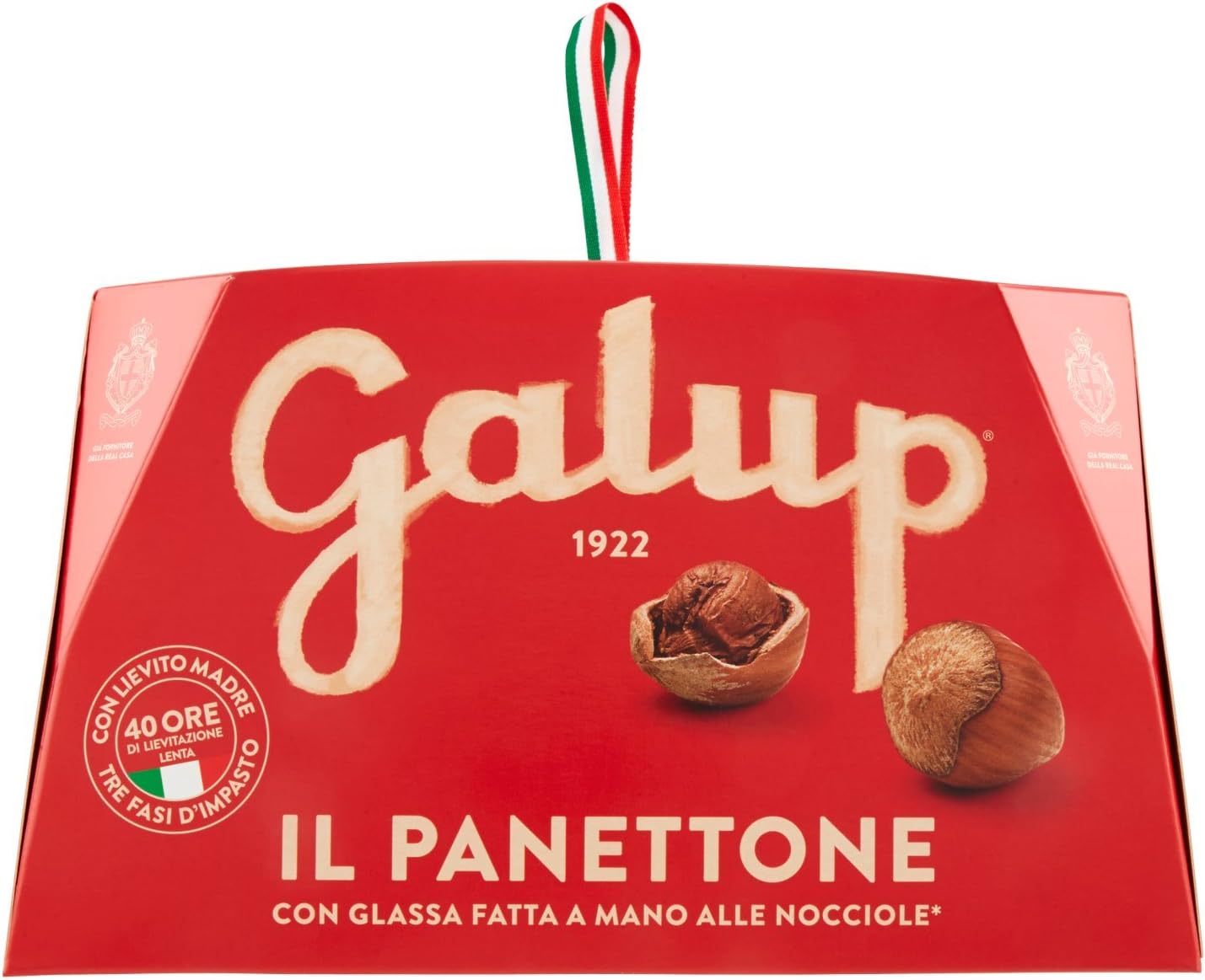 Galup NV03 Panettone Classico, 1000 Gr