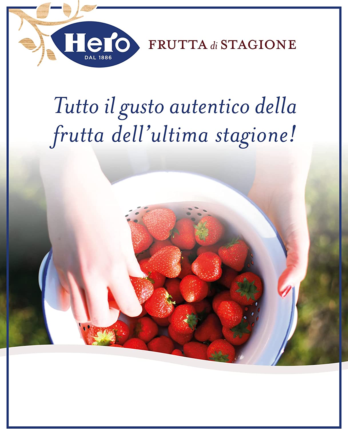 Hero Confettura Fichi di Stagione, 8 vasetti da 350 gr, marmellata e confettura extra con frutta raccolta nell'ultima stagione, frutta di alta qualità, metodo tradizionale