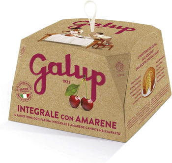 GALUP - PANETTONE INTEGRALE AMARENE - 750 GR