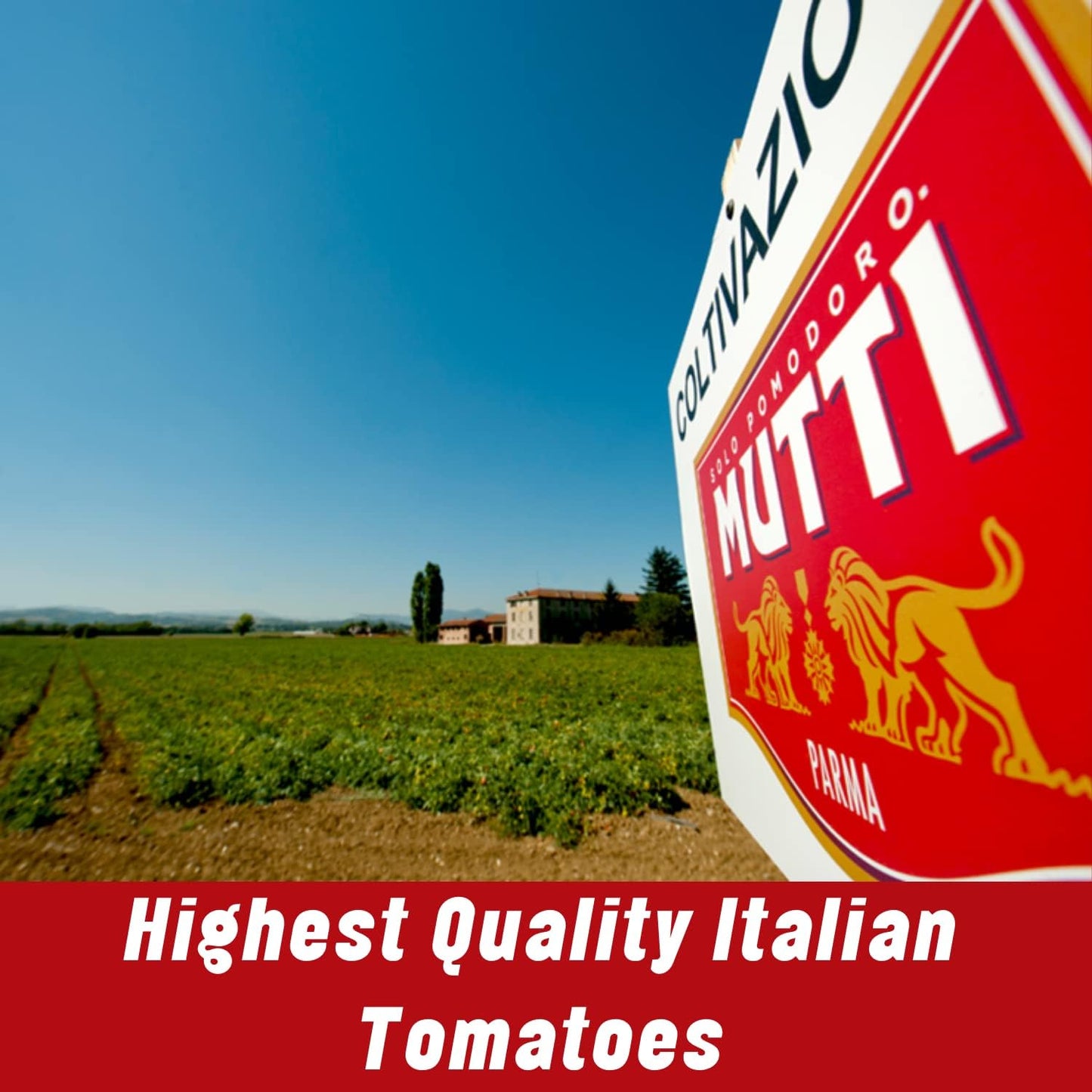 Mutti Peeled Tomatoes, 1 Pound (Pack of 12)