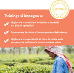 TÈ NERI AROMATIZZATI AI FRUTTI Collection Twinings, 20x2g