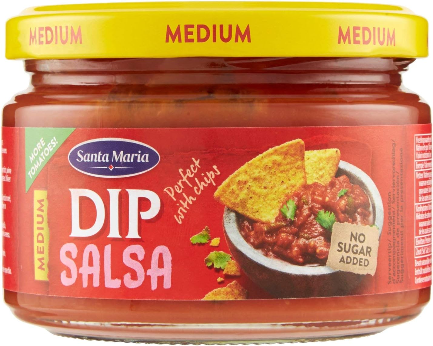 Santa Maria, Dip Salsa, Salsa Medio Piccante al Pomodoro, con Aglio e Jalapenos, Ideale come Accompagnamento alle Tortilla Chips, per Condire Verdure Fresche o Bruschette, Gusto Corposo, 250 g