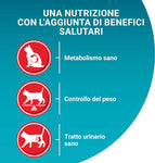 PURINA ONE Bifensis Crocchette Gatto Sterilcat Ricco in Manzo e Frumento- 8 sacchi da 800g ciascuno