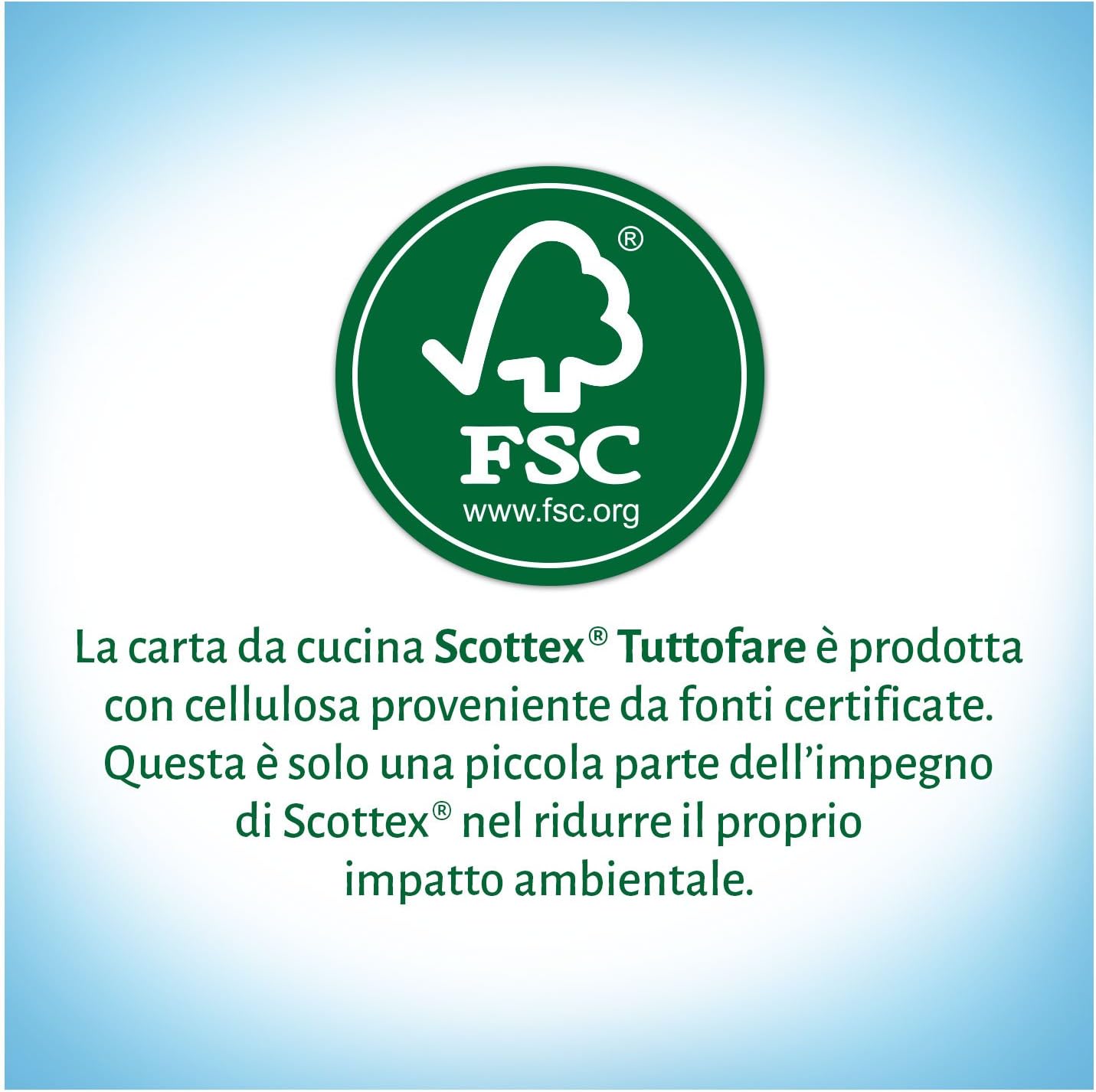 Scottex Tuttofare, Confezione da 2 Rotoli