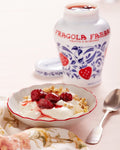 Fabbri Fragola Opaline 600g -