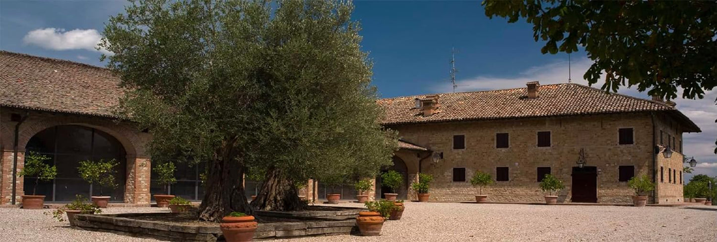 Ferrarini Prosciutto Crudo Stagionato Dolce Riserva Senza Osso, Crudo Stagionatura Min. 10 Mesi Pulito a Coltello, Forma Piatta, Peso Variabile, Per Gastronomie/Ristorazione, Pezzatura Tra 5,5 e 6,2Kg