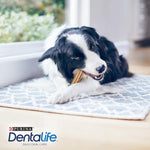 PURINA Dentalife Cane Snack per l'Igiene Orale, Taglia Medium, 6 Confezioni da 5 Sticks Ciascuna, per un Totale di 30 Sticks