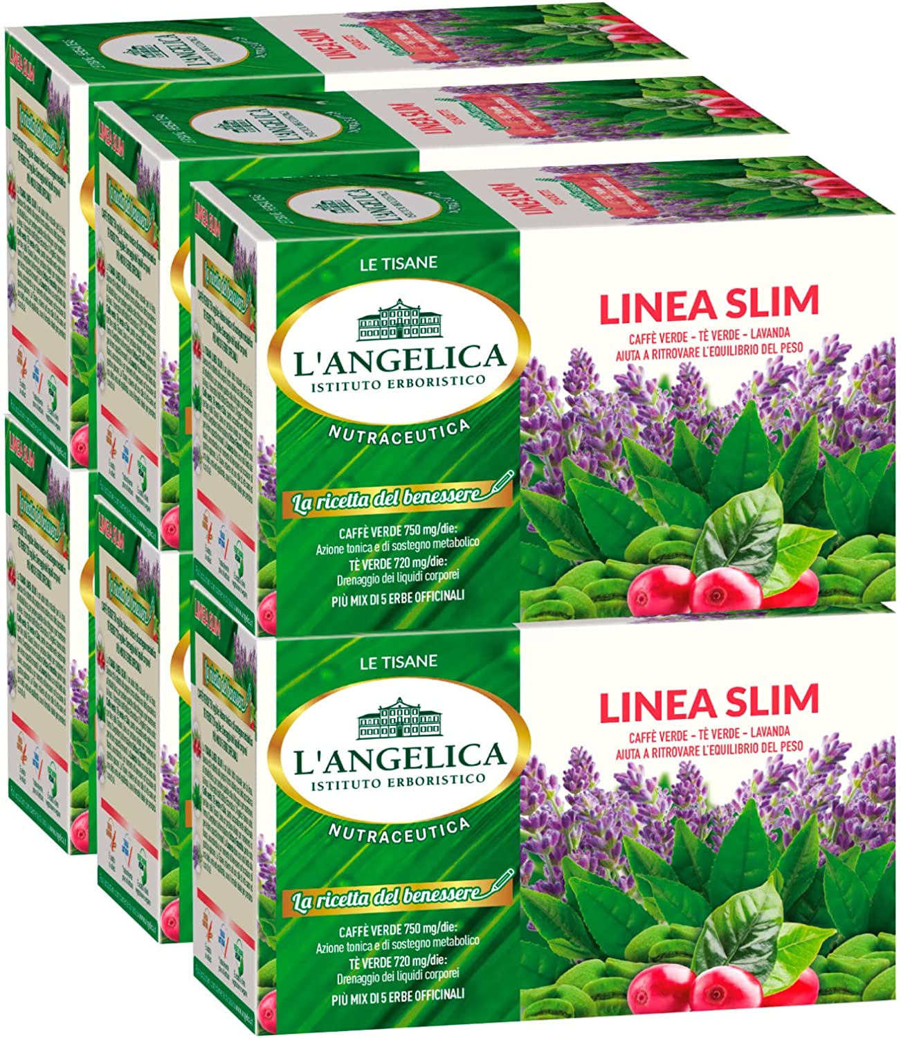 6x L'Angelica la Ricetta del Benessere Tisana Linea Slim per l'Equilibrio del Peso Senza Lattosio e Gluten Free con Caffè Verde - 120 Filtri