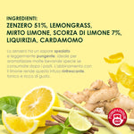 Pompadour, Infuso Zenzero e Limone, 60 Filtri (3 Confezioni da 20 Filtri), Aromatico e Speziato, 100% Naturale, Senza Lattosio, Glutine e Allergeni, Vegan