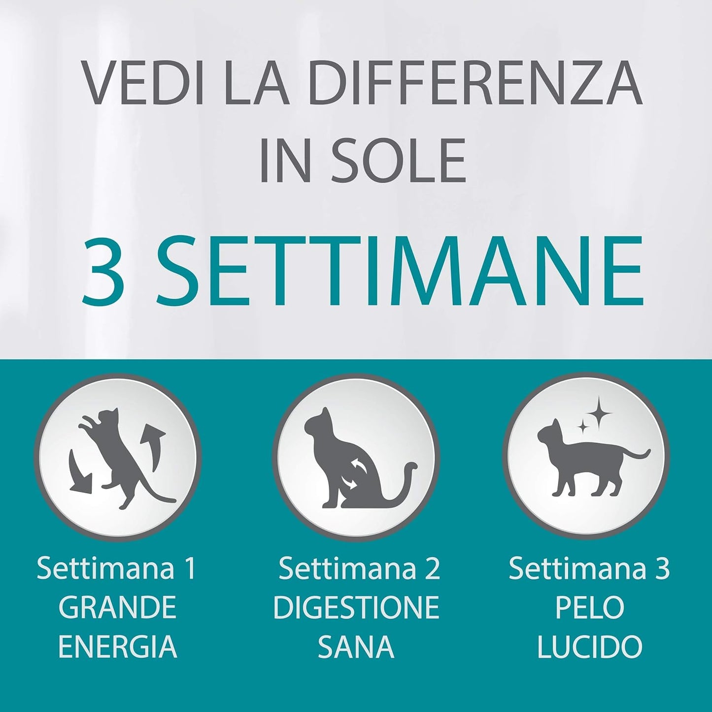 Purina One Bifensis Crocchette per Gatto Adulto con Salmone e Cereali integrali, 8 Confezioni da 800 g