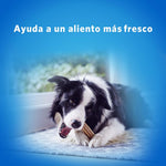 Purina Dentalife Cane Snack per l'Igiene Orale, Taglia Medium, 5 Confezioni da 115 g Ciascuna