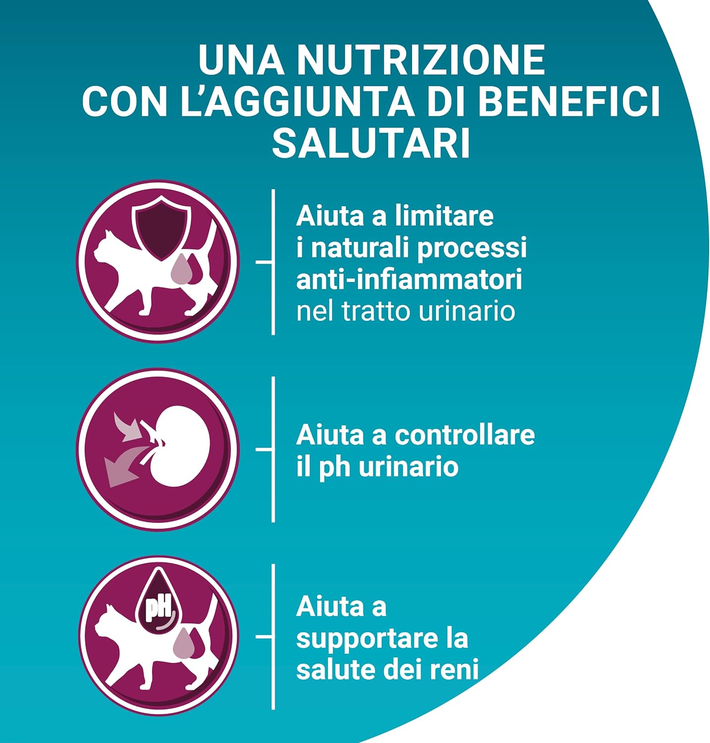 PURINA ONE Bifensis Crocchette Gatto Urinary Care Ricco in Pollo e Frumento - 8 sacchi da 800g ciascuno