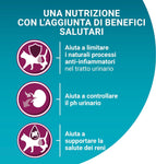 PURINA ONE Bifensis Crocchette Gatto Urinary Care Ricco in Pollo e Frumento - 8 sacchi da 800g ciascuno