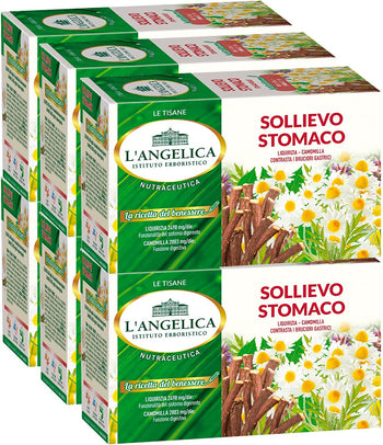 6x L'Angelica La Ricetta del Benessere Tisana Sollievo Stomaco Contro i Bruciori Vegan Senza Lattosio e Gluten Free - 120 Filtri