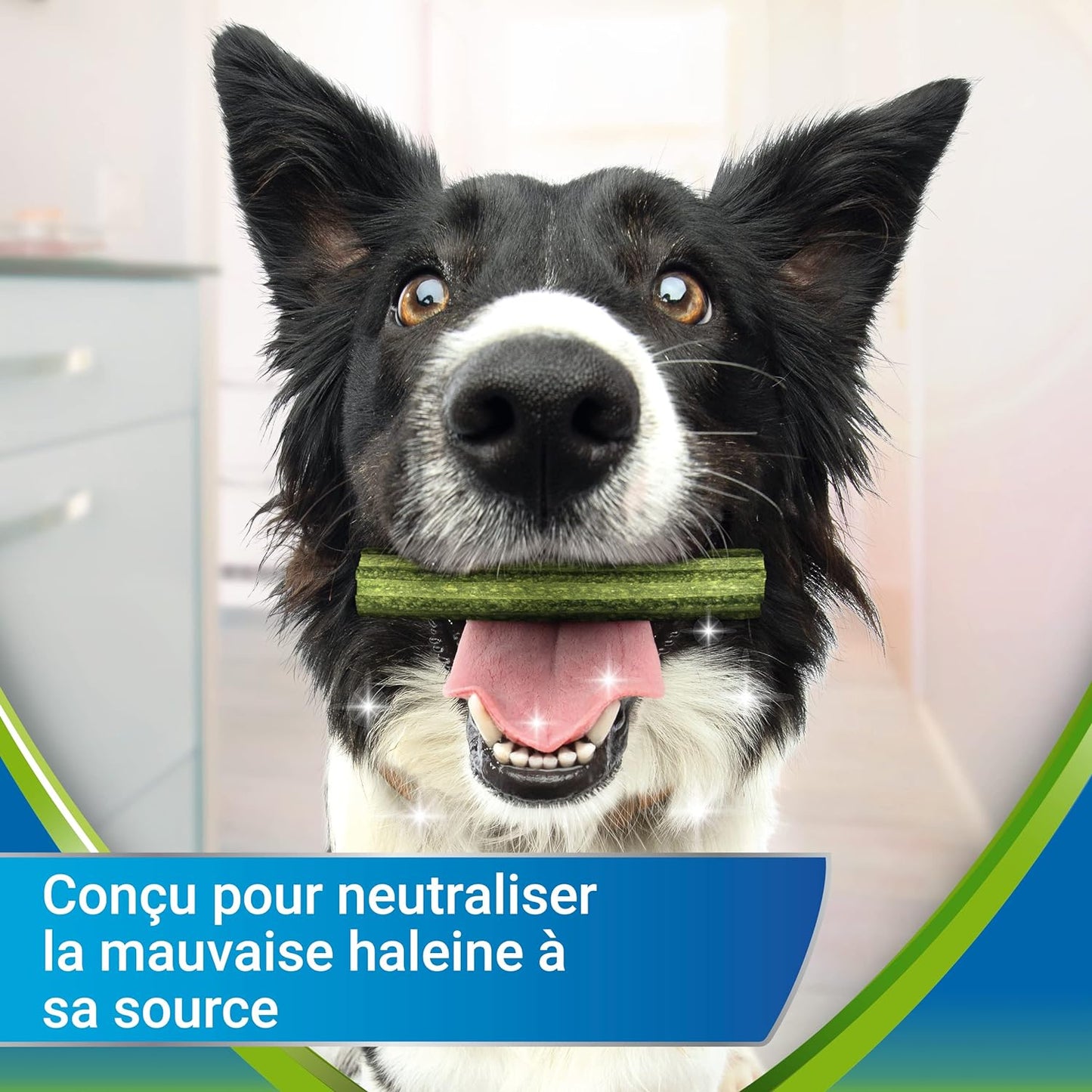 DENTALIFE ACTIVFRESH - 5 dolcetti da masticare per cani di taglia media, 115 g, igiene orale quotidiana