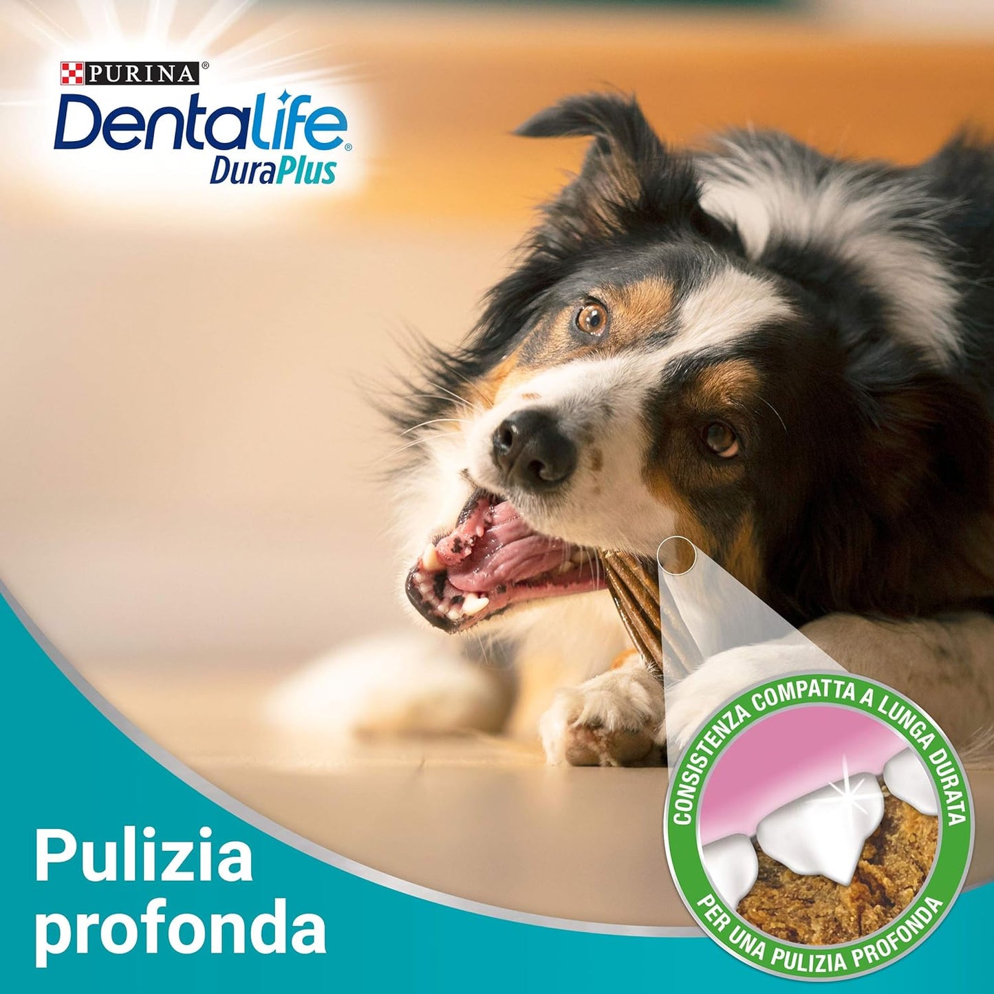 PURINA Dentalife Duraplus Snack Cane per l'Igiene Orale, Taglia Small - 5 Confezioni da 170 g Ciascuna