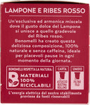 Bonomelli Infusi Fruttosi, Lampone e Ribes Rosso, Confezione da 12 filtri, Gusto Rinfrescante e Lievemente Acidulo, Infusione a Caldo e a Freddo, Ingredienti 100% Naturali