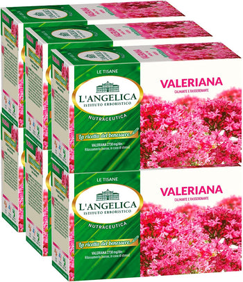 6x L'Angelica La Ricetta del Benessere Tisana Valeriana Calmante e Rasserenante Vegan Senza Lattosio e Gluten Free - 120 Filtri